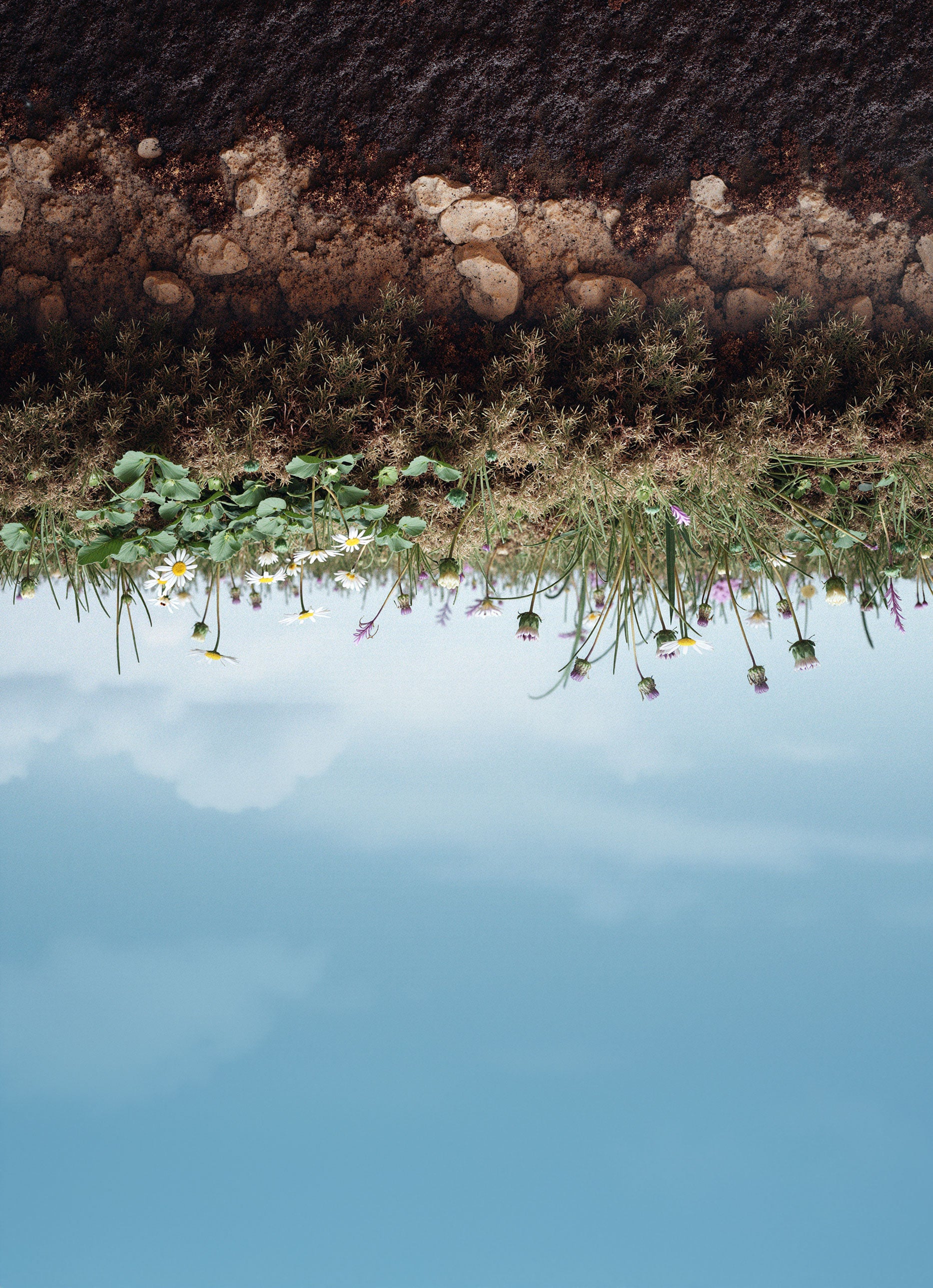 Reflective surface with water lilies and sky above, inverted view