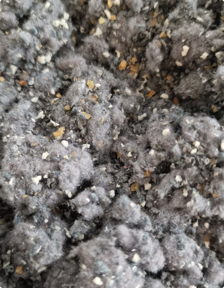 Close-up of textured soil with small stones and organic matter