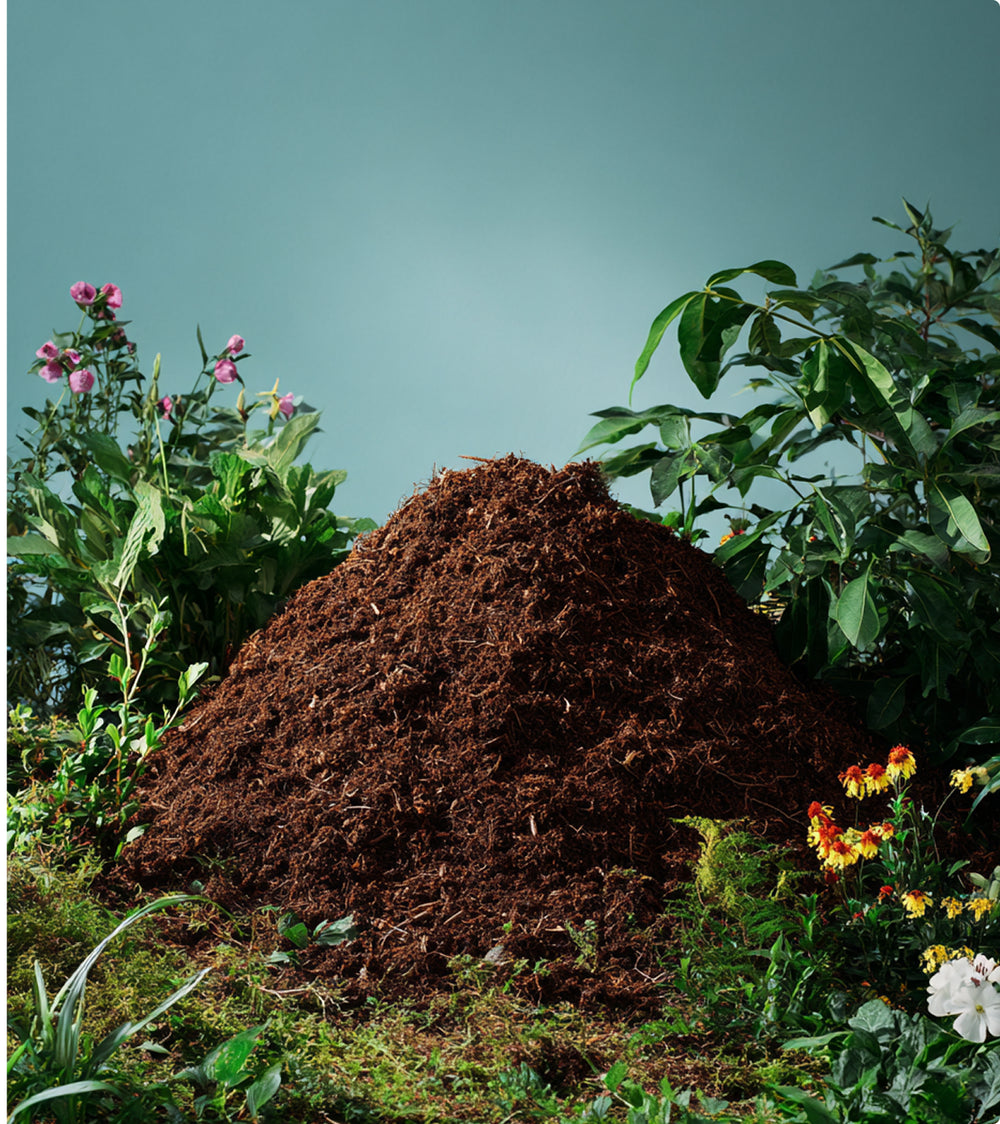 Mound of compost surrounded by green plants and flowers