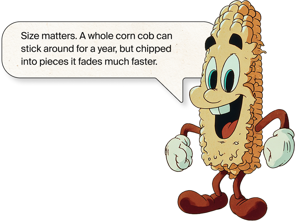 Cartoon corn cob character with a speech bubble about size matters.