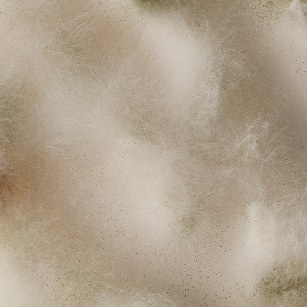 Textured beige surface with subtle variations