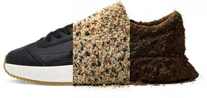 Newsletter Header Image